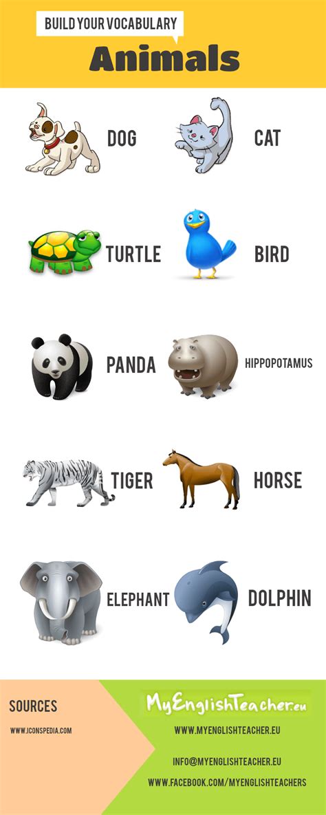 Animals [Infographic]
