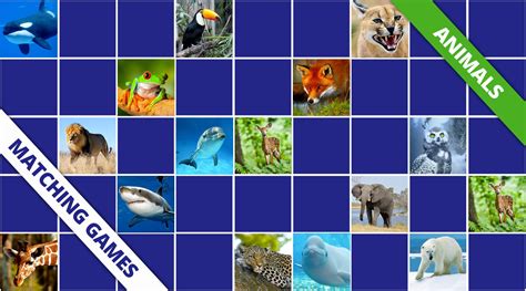Animals memory games   Online and free games | Memozor