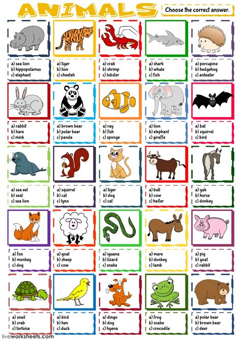 Animals   multiple choice worksheet