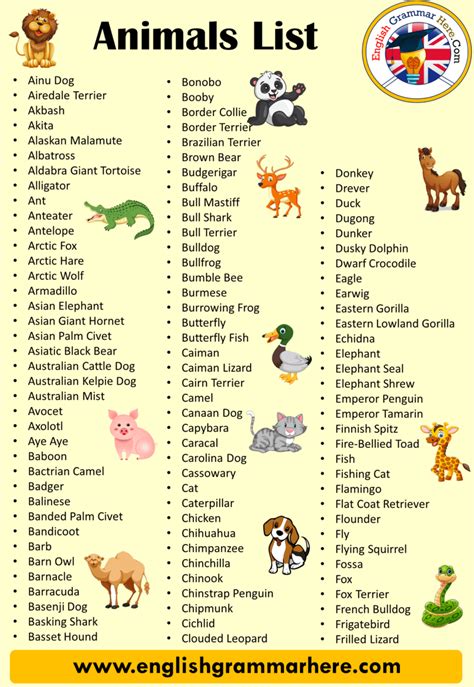 Animals Names List from A to Z   English Grammar Here