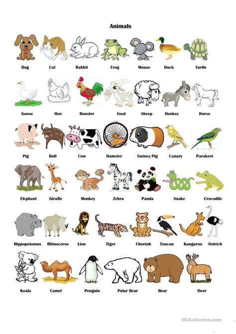 Animals Pictionary   English ESL Worksheets for distance learning and ...
