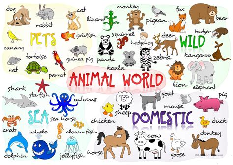 Animals   poster   English ESL Worksheets for distance learning and ...