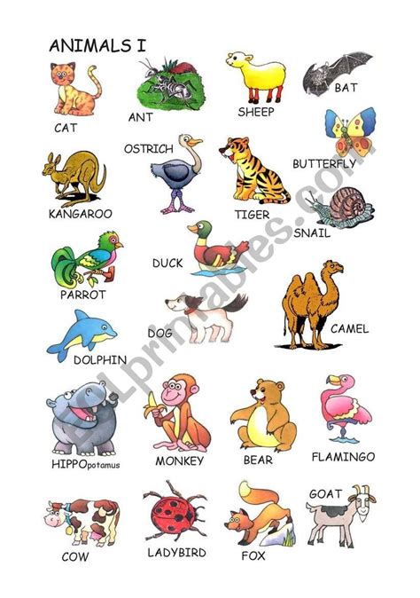 Animals vocabulary   ESL worksheet by joanserra