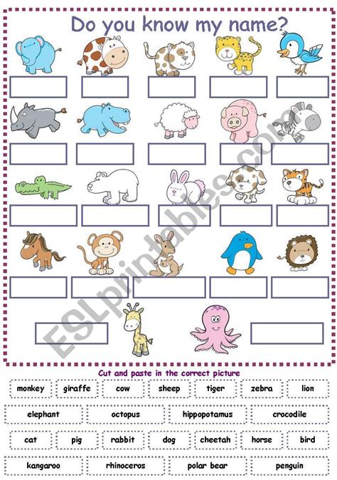 animals vocabulary for kids  cut and paste exercise    ESL worksheet by ...