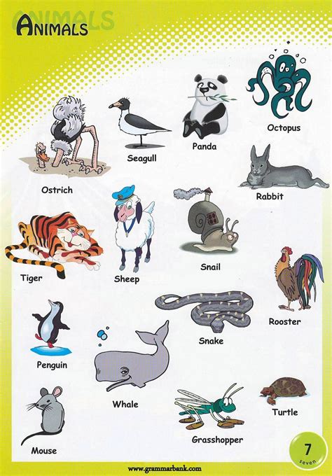Animals Vocabulary For Kids