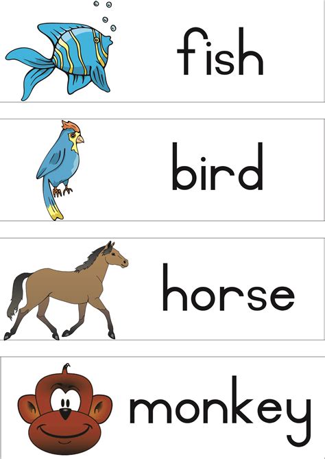Animals Vocabulary – Teacha!