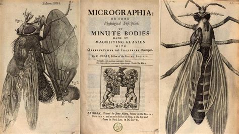 Anotaciones al margen: Micrographia