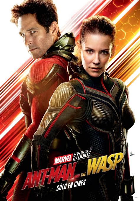 Ant Man and the Wasp » Ver pelicula online | Ver pelicula gratis