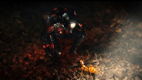 Ant Man : Nuevo póster   CINEMANÍA | Hombre hormiga, Man, Peliculas de ...