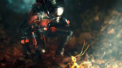 Ant Man Wallpapers  79+ images