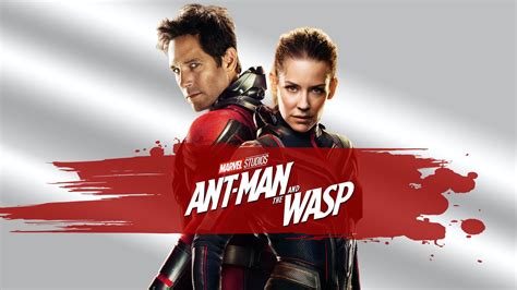 Ant Man y la Avispa 4k Ultra Fondo de pantalla HD | Fondo de Escritorio ...