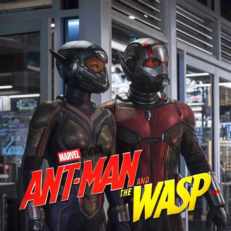 Ant Man y la Avispa : Primer tráiler con Paul Rudd y Evangeline Lilly ...