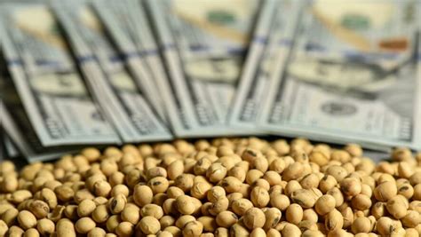 Ante perspectiva de fortalecimiento del dólar, precio de la soja ...