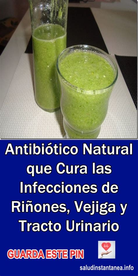 Antibiótico Natural que Cura las Infecciones de Riñones, Vejiga y ...