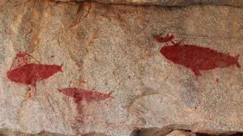 Antiguas pinturas rupestres chilenas de caza de ballenas vinculan el ...