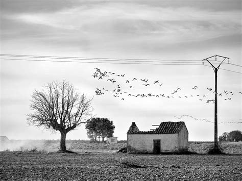 Antonio Atanasio, premio a la mejor fotografía en el concurso ...