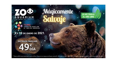 Anuladas Jornadas familiares en el Zoo Aquarium de Madrid   Federación ...
