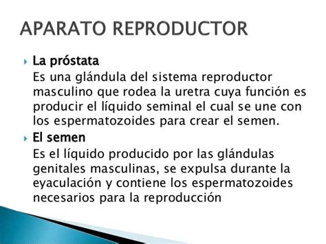 Aparato reproductor