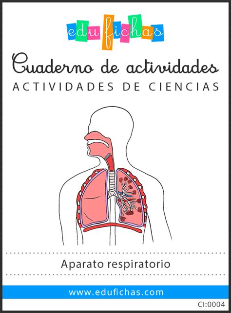 Aparato Respiratorio para Niños. Ficha con las Partes. PDF