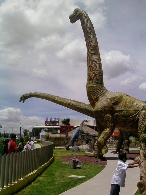 Apatosaurus_ _Dinoparque,_Pachuca_de_Soto,_Hidalgo,_México.jpg  1200× ...