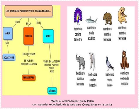 APOYO ESCOLAR ING MASCHWITZT CONTACTO TELEF 011 15 37910372: COMO SE ...