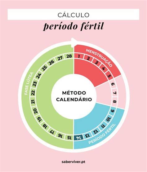 Aprenda a identificar e calcular o período fértil | Período fértil ...
