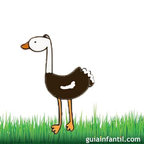 Aprende a dibujar una avestruz. Dibujos para niños