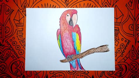 Aprende a dibujar una Guacamaya con colores   Pasos ...