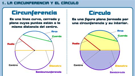Aprendemos las áreas y los perímetros: 5. Circunferencia y círculo