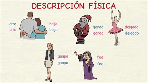 Aprender español: Vocabulario de la descripción física  nivel básico ...
