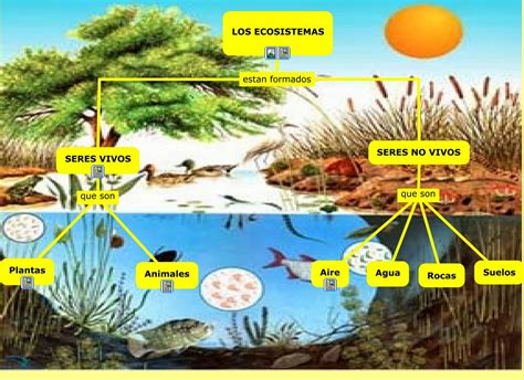 Aprendiendo juntos: Los ecosistemas acuáticos y terrestres