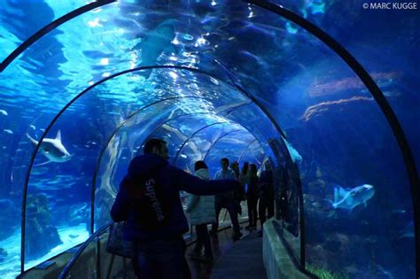 Aquarium Barcelona 2021 : Preise, Eintritt, Öffnungszeiten ...