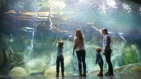 Aquarium in Zoo Leipzig nach Umbau fertig   so sieht es aus!