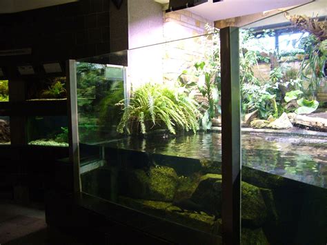 Aquarium Interior at Leipzig, 02/09/11 ZooChat
