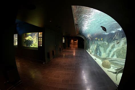 Aquarium | Zoo Leipzig