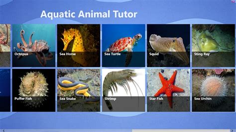 Aquatic Animals With Names