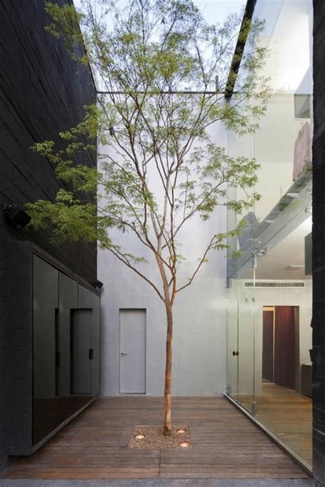 Árbol en patio interior | Arquitectura de paisaje, Diseño arquitectura ...
