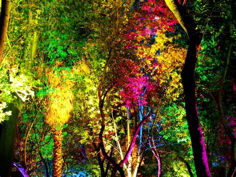 Arboles de colores 2 by aaguilerav on DeviantArt