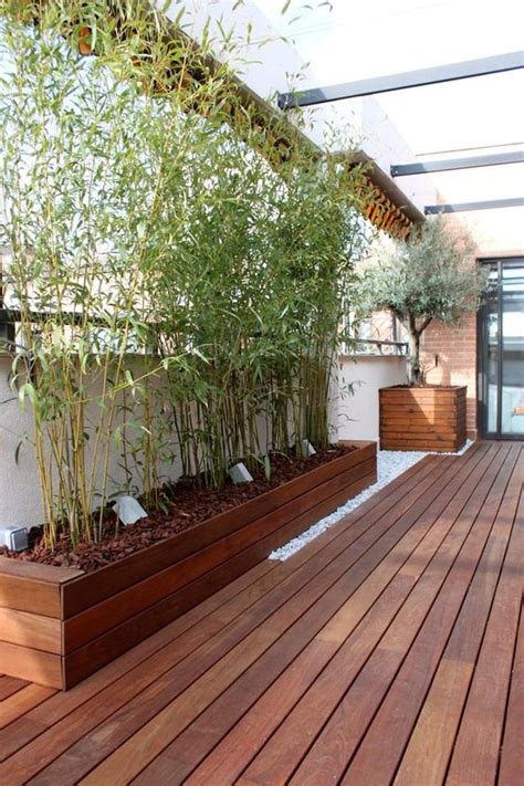 Arbustos Para Terraza: Ideas para montar en la terraza ...
