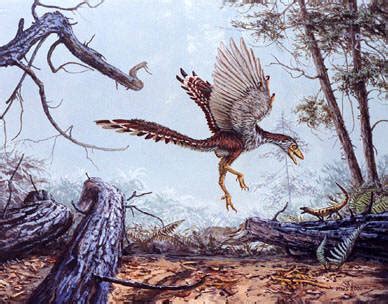 Archaeopteryx   Dinoenix