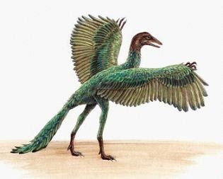 Archaeopteryx | Información sobre este dinosaurio volador