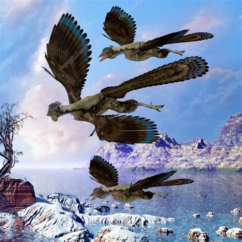 Archaeopteryx Reptiles voladores: fotografía de stock  CoreyFord ...