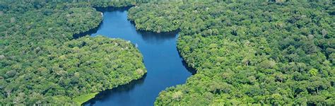 Architecture competitions: Nature Observatory of Amazonia ...