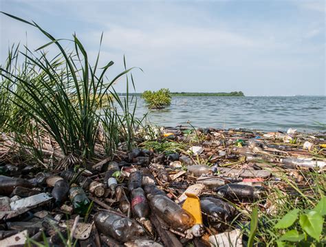 Archivo:Contaminación en el Lago de Maracaibo, Estado ...