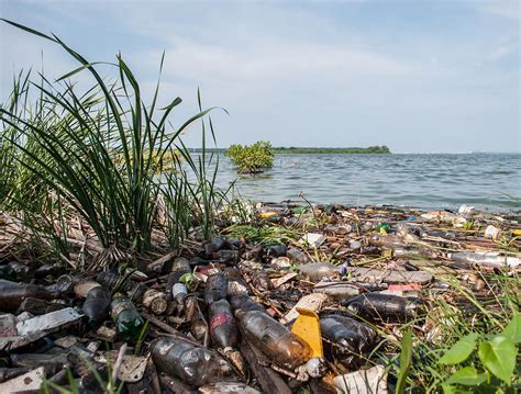 Archivo:Contaminación en el Lago de Maracaibo, Estado ...