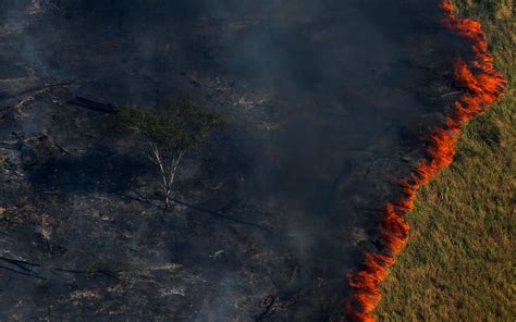 Arde la Amazonia: Siete claves para entender qué se quema ...