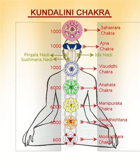 Are kundalini and chakras the same? Is it possible to ...