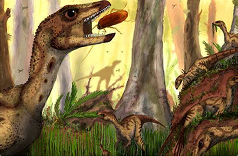 Area Paranormal: nueva especie de dinosaurio Nombrada Laquintasaura ...
