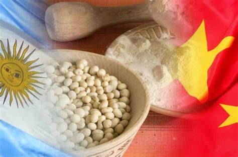 Argentina exportará harina de soja a China: «Hace años que queríamos ...