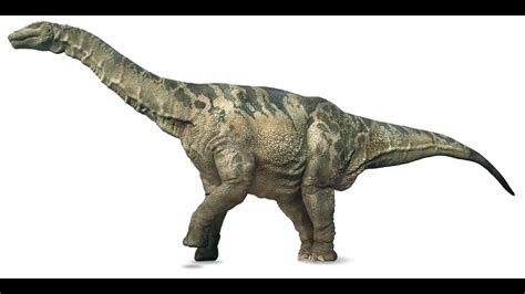 Argentinosaurus | Enciclopedia sobre Dinosaurios   YouTube